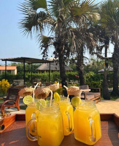 Garden, Resort Kanoa do Kwanza in Ramiros