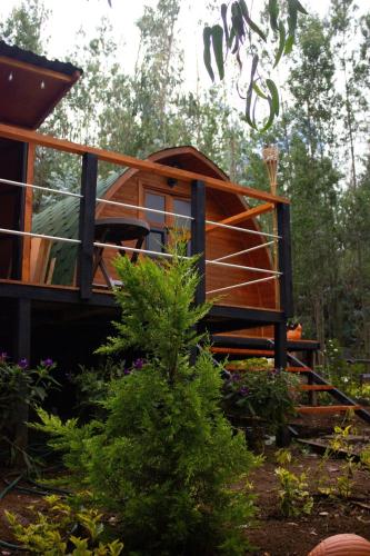 Silua Eco glamping in Tibasosa