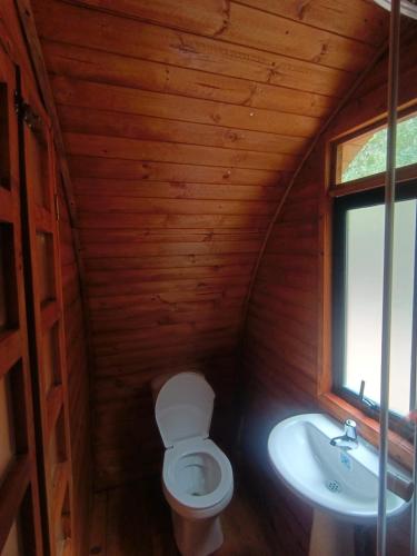 Silua Eco glamping in Tibasosa