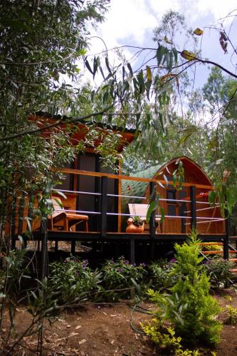 Silua Eco glamping in Tibasosa