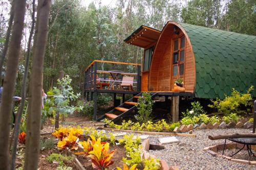 Silua Eco glamping