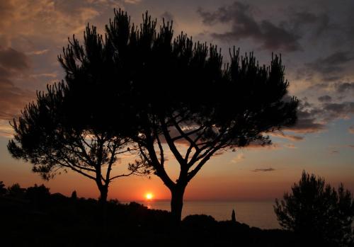  Belvedere Residenza Mediterranea in Portoferraio