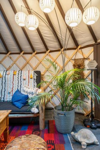 Shanti Yurt with private hot tub in Bragg Creek in Bragg Creek (AB)