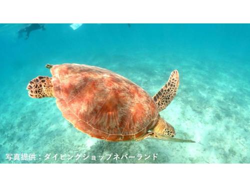 AMA TERRACE - Vacation STAY 31138v