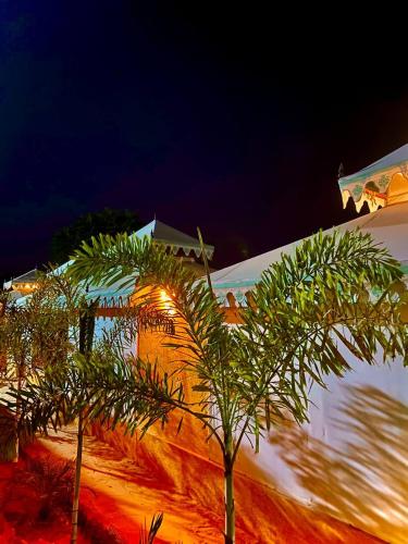 Rasleela Resort - A Luxurious Rajasthani Tent Theme Stay In Khatushyam Ji in Reengus