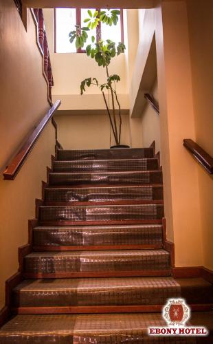 Iekārtas, Ebony Hotel in Huarasa