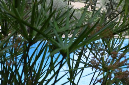 塔斯卡乡村民宿