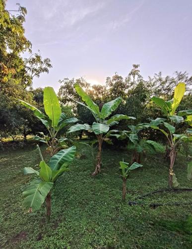 Nature yatra in Naringre