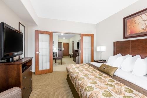 Executive King Suite
