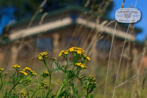 Vilkdvaris - image 11