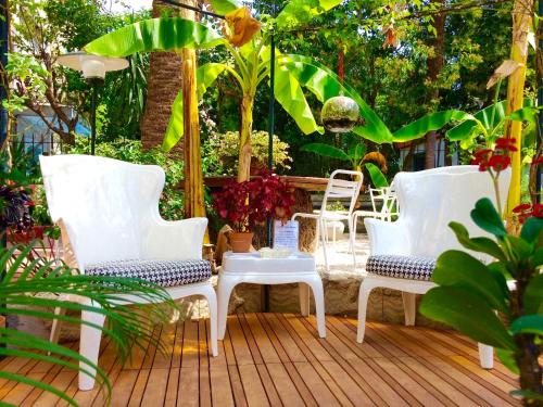 Hotel Villa Rose - image 9