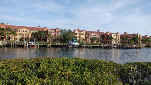 Grand Venezia Clearwater at Tampa Bay in 歷史灣景