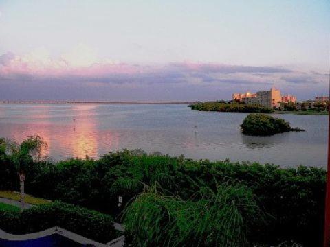 Grand Venezia Clearwater at Tampa Bay in 歷史灣景
