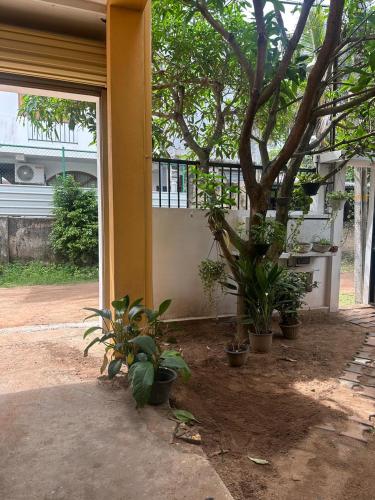 The TJ Lanka in Moratuwa