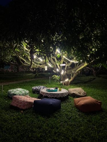 Viesnīcas āriene, Mango Trails - Farm Stay, Camping & Day Outing near Bangalore in Anekal