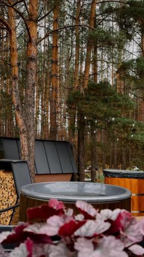 Honey Rest in Zolotonoša