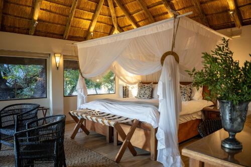 Karongwe - River Safari Lodge, Hoedspruit (foto 3)