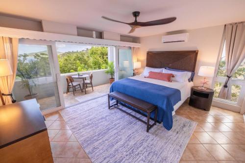 Ocean Views From Every Room - 5 Minutes to Magen's Bay in 羅文蘭德