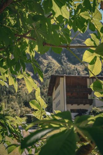 Pension Steinkogel in St. Leonhard im Pitztal, Österreich