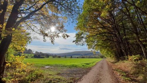 Sports and activities, Seminar- & Gasthaus am Waldsee in Mengerskirchen