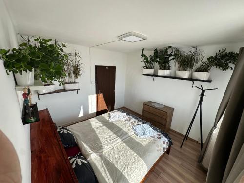 Jungle style 2 lockable bedrooms, 10 mins to center, top floor balcony with Prague view, king-size bed, high speed Internet, coffee, Prague (photo 3)