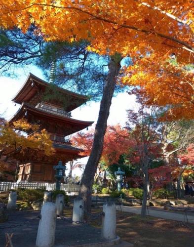 Tokyo Maneki Stay Gotokuji