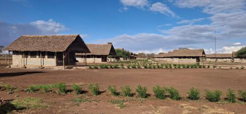 . Osutua Rafiki Camp Ltd