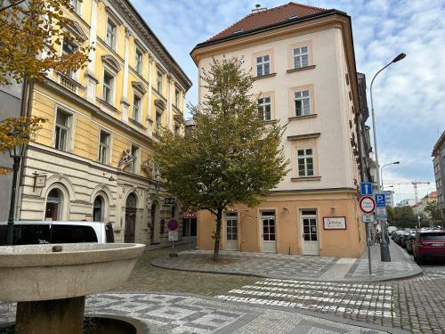 Vip Prague Apartments Petrska 25, Прага