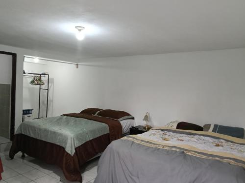 Cobán room (Coban room) in 코반