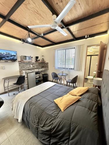 Hermoso e iluminado departamento con aire acondicionado citla 9