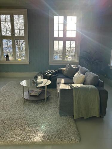 Historic villa with large garden in Лаєрвік