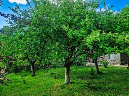 Bacho's cottages Mzetamze - cozy mountain retreat in Kimotesubani