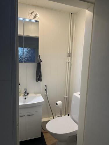 Fürdőszoba, Hostel400Kokkola Lehmustien iso Asunto in Kokkola Karleby