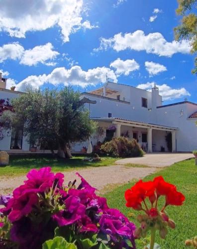  MASSERIA SALENTINA - Authentic Experience in Borgagne