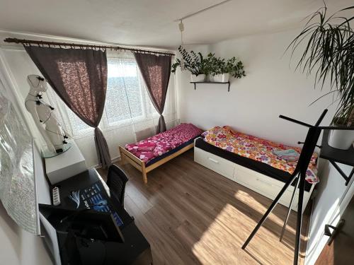 Private rooms, stunning city views, top-floor with balcony, bathtub, Internet, coffee