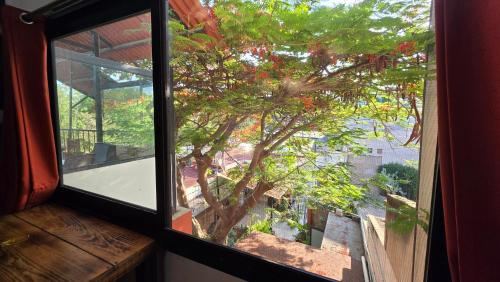 오악사카 La Casa del Arbol 호텔 부대시설