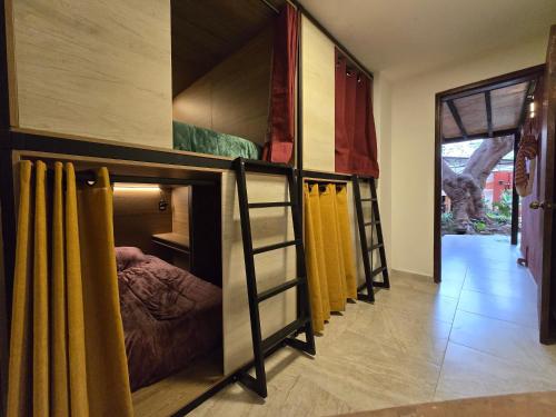 오악사카 La Casa del Arbol 호텔 스위트룸