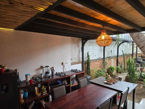 오악사카 La Casa del Arbol 호텔 수영장