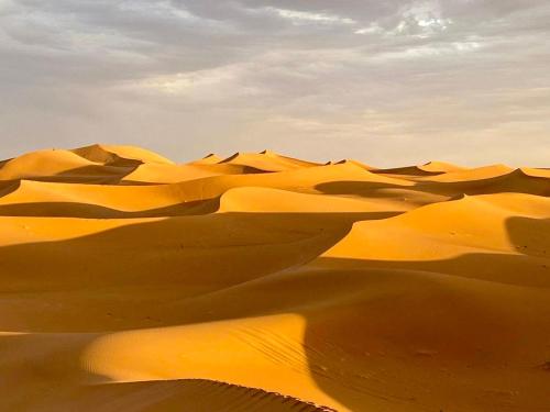 Mhamid Sahara Camp Activities - Le Chant du Sable - 전망