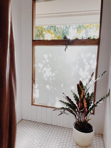 Loi B&B in Wainaku (HI)