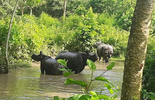 Ecopark Homestay in 梅格好利