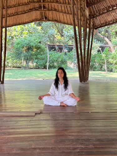 ทัศนียภาพ, Dr. Bali's Bliss Homestay in เดลี