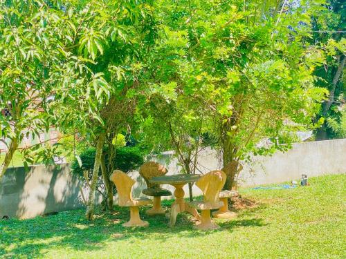 Hiriketiya Lima Homestay - image 5