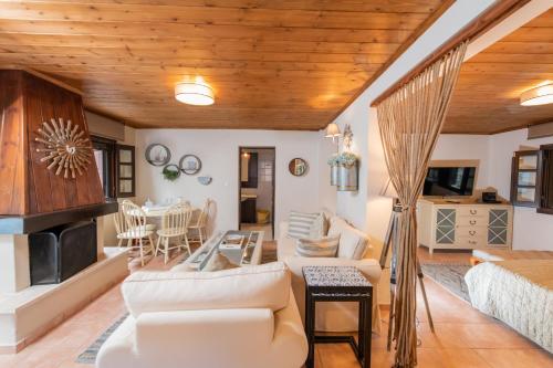 Dandy Villas Tsagkarada - Blue Pansy - Mini Pool gîte à louer Tsagarada