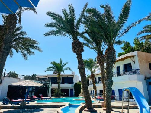 New Sphinx Resort – Dahab, IN