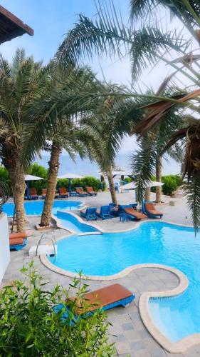 New Sphinx Resort – Dahab, IN