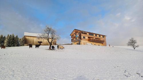 Blickfang Bregenzerwald in Langenegg