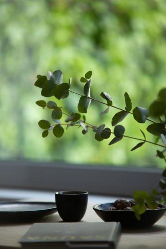Edville Studio - image 8
