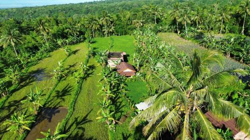 Opik Homestay Tete Batu - Suela