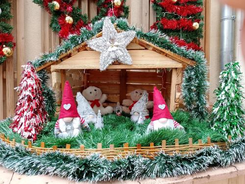 Le Balcon - Location saisonnière - Sélestat